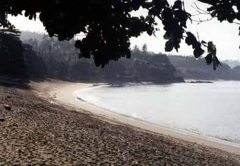 If you walk from the last picture to the beach and face left this is what you see. It was a lot like a private beach, but is a couple of miles long. - jpg - 16005 Bytes