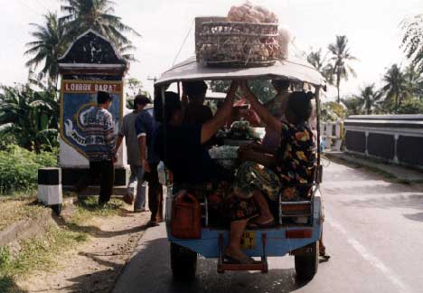 A cidomo as most often seen, leaving a market. The driver sometimes sits on the shafts to hold them down. It looked to me like the horse might get lifted off the ground occasionally. - jpg - 24821 Bytes